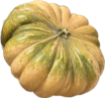 Immagine di ZUCCA INTERA GRANDE