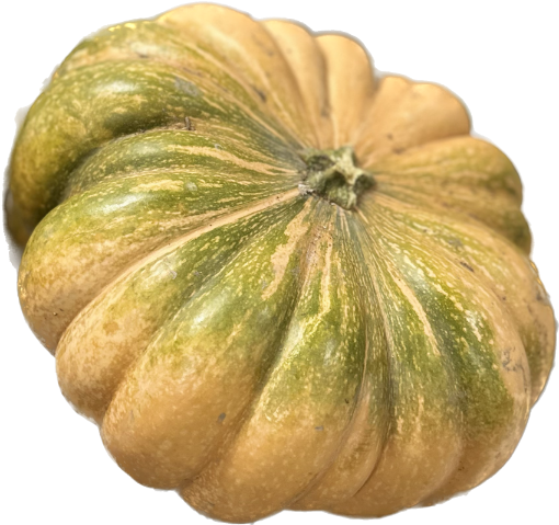 Immagine di ZUCCA INTERA GRANDE