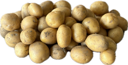 Immagine di PATATE TONDELLO - SCIOLTO