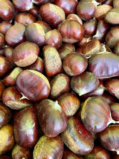 Immagine di CASTAGNE