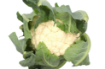 Immagine di CAVOLFIORE BIANCO