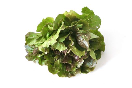 Immagine di INSALATA CANASTA