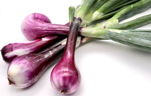 Immagine di CIPOLLE FRESCHE