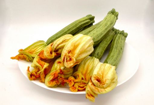 Immagine di ZUCCHINE GROSSE (oltre21)