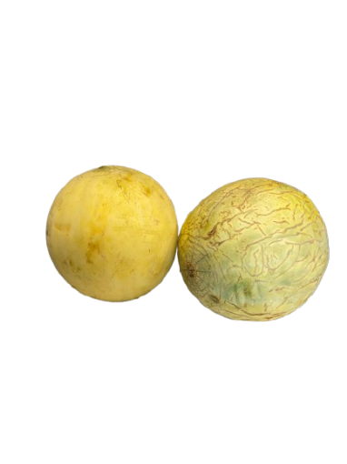 Immagine di MELONE