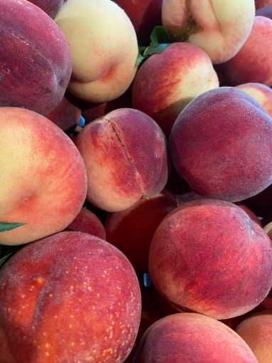 Immagine di PESCHE
