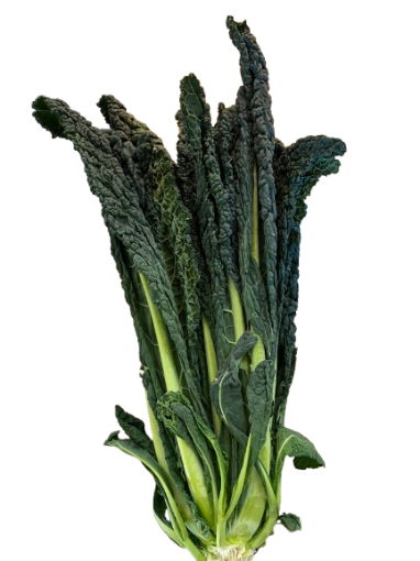 Immagine di CAVOLO NERO