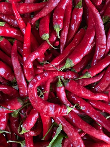 Immagine di PEPERONCINI CORNO PICCANTI