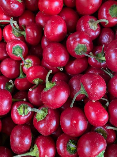 Immagine di PEPERONCINI TONDI PICCANTI