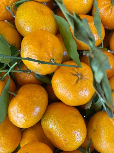 Immagine di MANDARINI CASSA